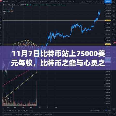 关于我们 第570页