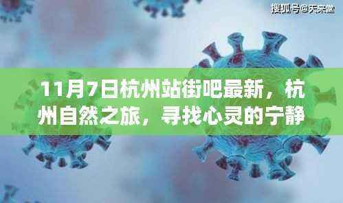 关于我们 第565页