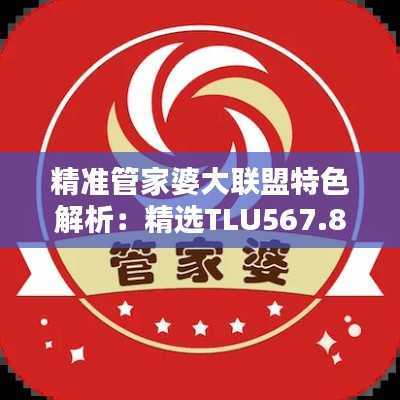 精准管家婆大联盟特色解析：精选TLU567.84固定版详解