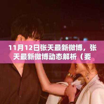 张天最新微博动态深度解析，要点探讨（11月12日）