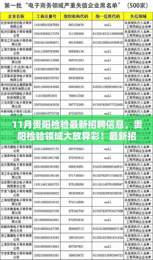 贵阳检验领域新机遇，最新招聘信息汇总，把握职业发展风向标！