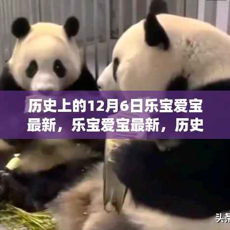历史上的12月6日，乐宝爱宝最新动态与变化带来的自信与成就感