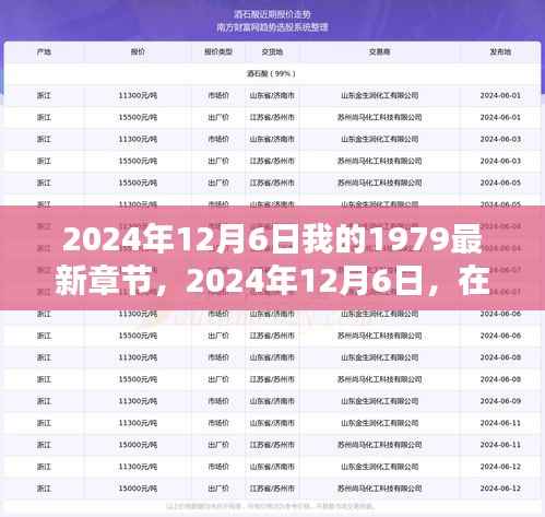 时光之章中的温馨日常，我的1979新篇章揭秘（最新章节）