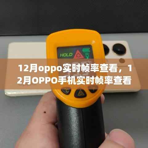OPPO手机实时帧率查看全攻略，轻松掌握12月实时帧率查看方法