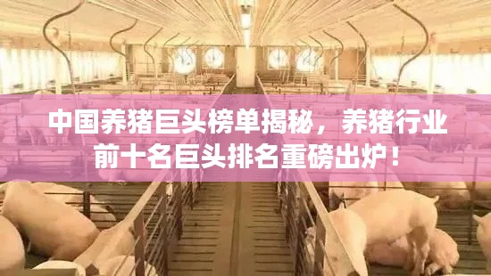 资料下载 第179页