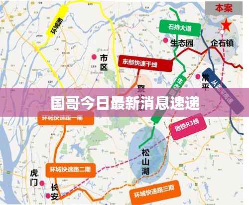 国哥今日最新消息速递