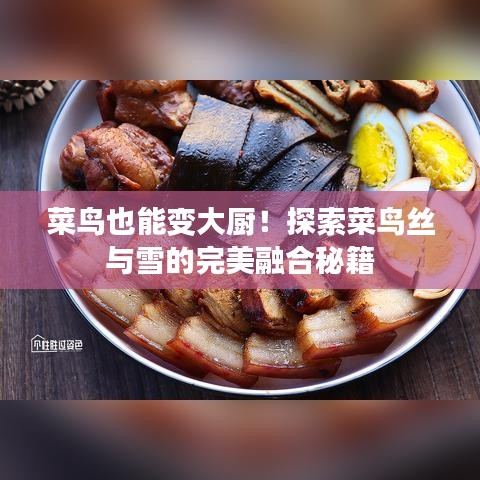菜鸟也能变大厨!探索菜鸟丝与雪的完美融合秘籍