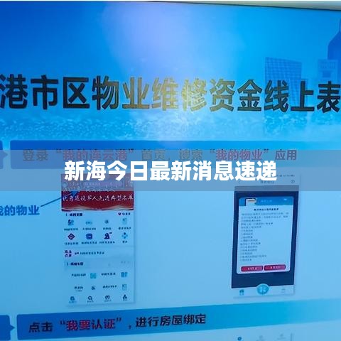 新海今日最新消息速递