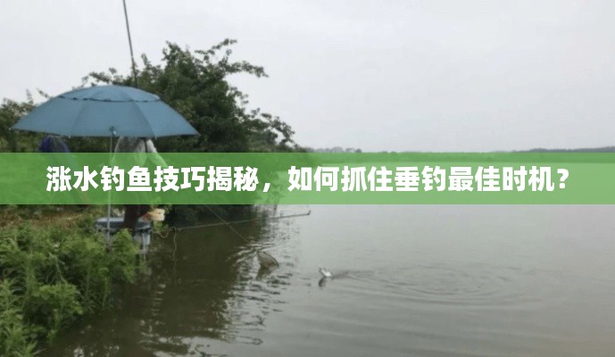 涨水钓鱼技巧揭秘,如何抓住垂钓最佳时机?